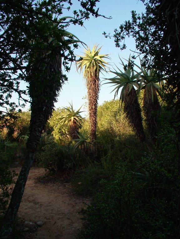 Hopefield Country House Addo Bagian luar foto