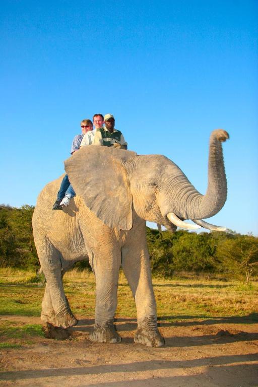 Hopefield Country House Addo Bagian luar foto