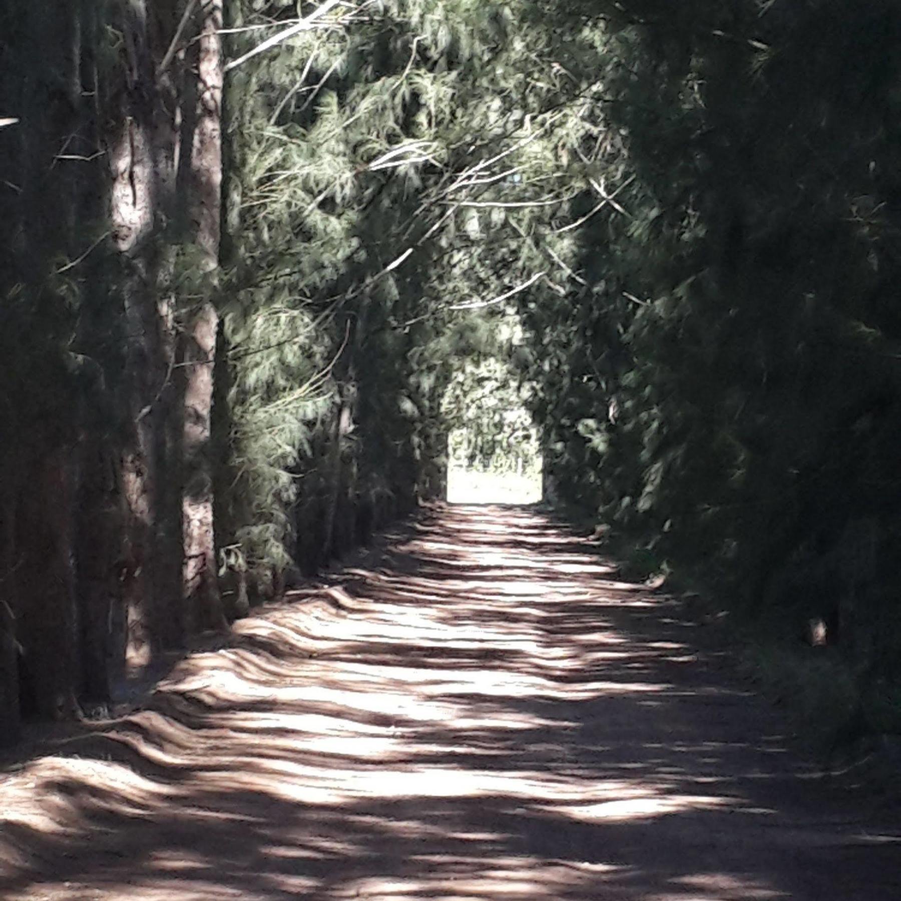 Hopefield Country House Addo Bagian luar foto