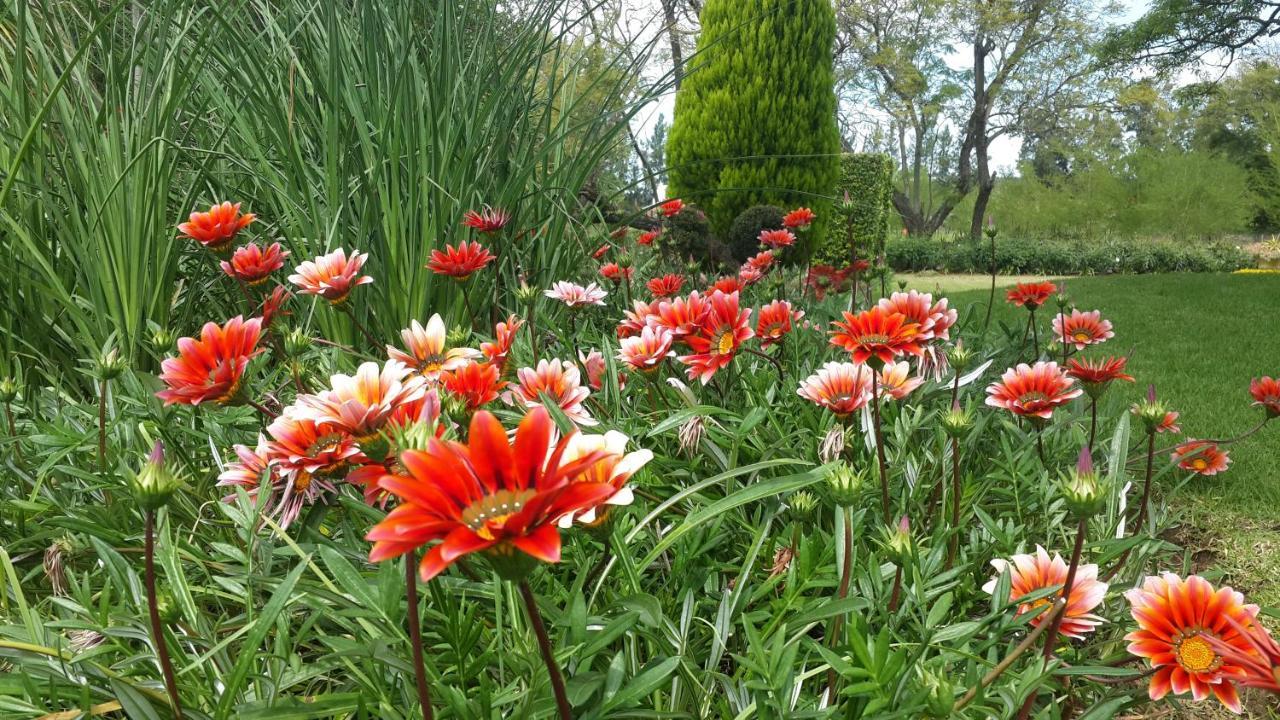 Hopefield Country House Addo Bagian luar foto