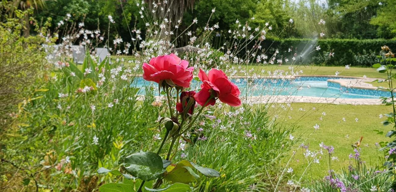 Hopefield Country House Addo Bagian luar foto